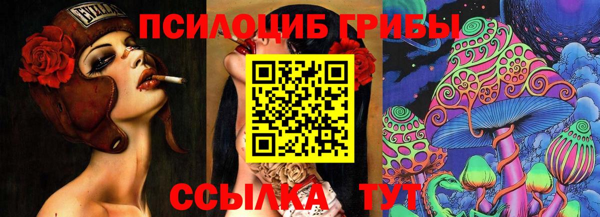 Галлюциногенные грибы Cubensis Долгопрудный