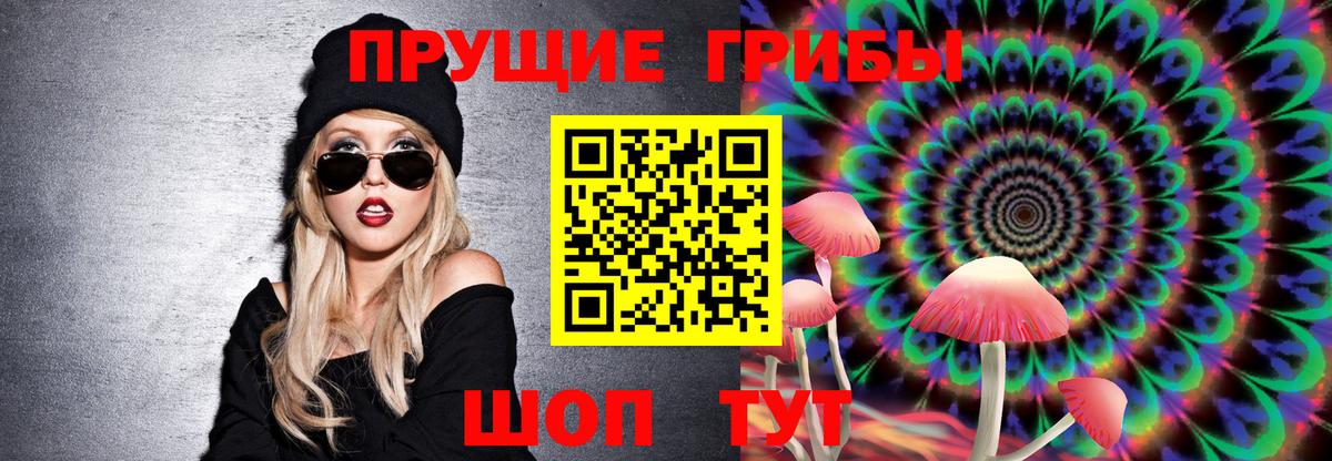 Псилоцибиновые грибы Cubensis  Вход с VPN  Долгопрудный 